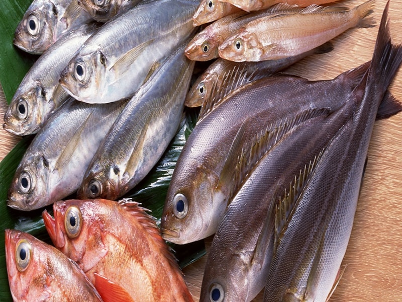kiêng ăn các loại cá có thủy ngân cao